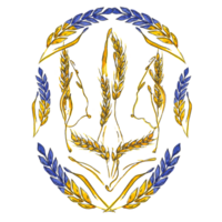 Coat of arms of Ukraine, the heart of Ukraine. All elements are painted with watercolors png