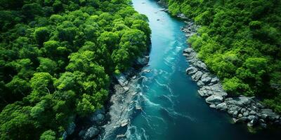 generativo ai, verde hermosa amazónico selva paisaje con arboles y río, zumbido ver foto