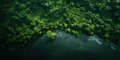 Generative AI, green beautiful amazonian jungle landscape with trees and river, drone view photo