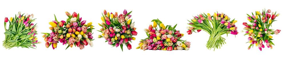 Tulip flowers bouquets collection, set isolated on transparent white background photo