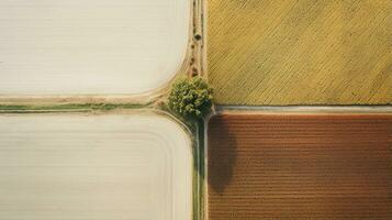 Generative AI, Farm autumn landscape, agricultural fields, beautiful green, yellow, orange and beige countryside, country road. Nature Illustration, photorealistic top view drone. photo