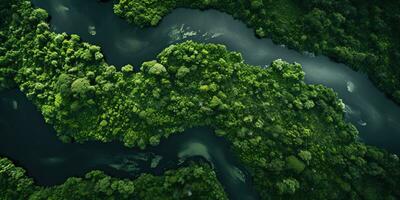 Generative AI, green beautiful amazonian jungle landscape with trees and river, drone view photo