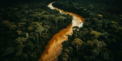 Generative AI, green beautiful amazonian jungle landscape with trees and river, drone view photo