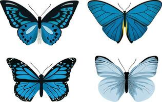 Blue Tropical Butterfly Realistic Flat Illustration Set vector