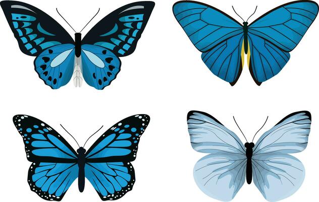 Blue Tropical Butterfly Realistic Flat Illustration Set