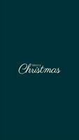 Merry Christmas Handwrite Motion Graphic video