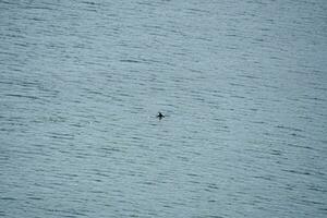 Ripples in the ocean photo