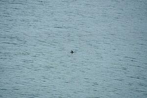 Ripples in the ocean photo