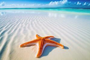 Starfish and sand on tropical beach and ocean, generative AI photo