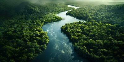 Generative AI, green beautiful amazonian jungle landscape with trees and river, drone view photo