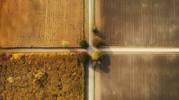 Generative AI, Farm autumn landscape, agricultural fields, beautiful green, yellow, orange and beige countryside, country road. Nature Illustration, photorealistic top view drone. photo