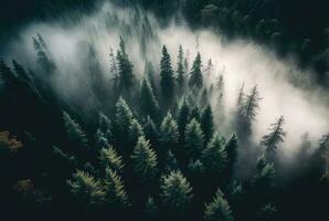 Forest covered with fog, aerial view. Generative AI photo