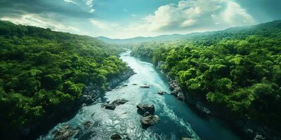 Generative AI, green beautiful amazonian jungle landscape with trees and river, drone view photo