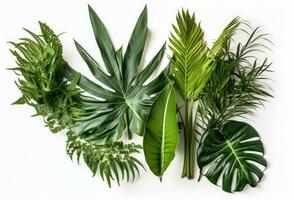 Tropical green leaves collection isolated on white background. Generative AI photo