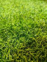 Artificial Grass synthetic grass texture pattern background photo