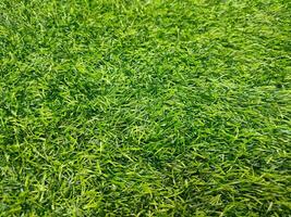 Artificial Grass synthetic grass texture pattern background photo