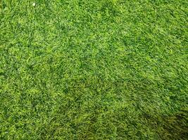 Artificial Grass synthetic grass texture pattern background photo