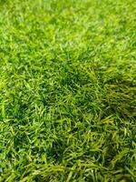 Artificial Grass synthetic grass texture pattern background photo