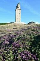 un antiguo torre foto