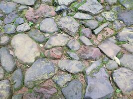 texture, pattern, rocky and mossy road background photo