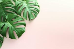 Green Foliage with copyspace, Lush Monstera Leaves on a Delicate Pastel Background. Created with AI Generative. photo