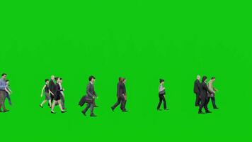 Diverse 3D People are Moving in the same Direction on Green Screen video