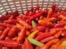 Fresh cayenne peppers that are in the basket and ready be sold. textures and backgrounds photo