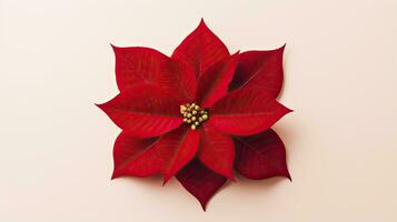 photo of Poinsettia Christmas wallpaper, AI Generated.