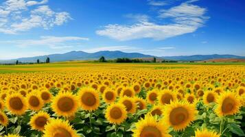 green coastal sunflower fields ai generated photo