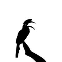 Great Horn Bird Silhouette Perched on the Branch Tree Silhouette. Vector Illustration