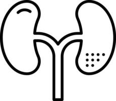 Kidneys Vector Icon