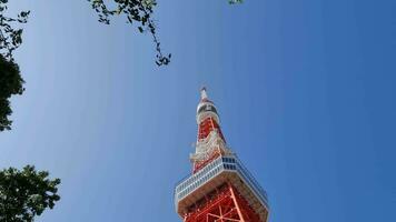 Tokyo, Japon à 8 octobre 2023. tokyo la tour dans minato ville, Tokyo. le tokyo la tour, est une les communications et observation la tour construit dans 1958. video