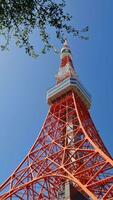 Tokyo, Japan at 8 October 2023. Tokyo Tower in Minato City, Tokyo. The Tokyo Tower, is a communications and observation tower built in 1958. video