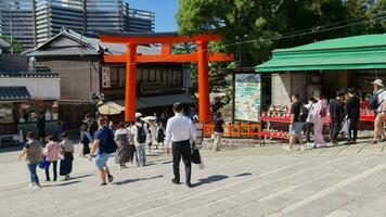 kyoto, Giappone su ottobre 1 2023. molti turisti a partire dal Asia, America e Europa visitare fushimi inari taisha nel kyoto per prendere fotografie a il molto famoso torii cancelli. uno di il preferito macchie per turisti. video