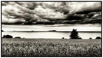 Dramatic Monochrome Seascape   Brittany, France photo