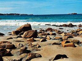 Summer View of the Sea near Perros Guirec in Brittany photo
