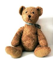 Lovable Isolated Teddy Bear photo