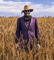 A Menacing Scarecrow in a Wheat Field   generative AI photo