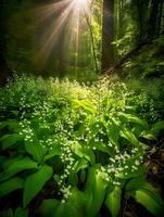 Enchanting Lily of the Valley in a Sunlit Fairy Forest. Generative AI. photo