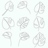 Simplicity monstera leaf freehand continuous line drawing flat design. vector