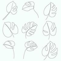 Simplicity monstera leaf freehand continuous line drawing flat design. vector