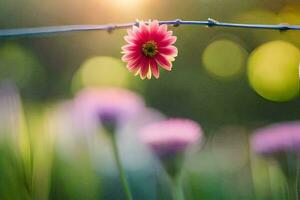 un rosado flor es en un cable en frente de un campo. generado por ai foto