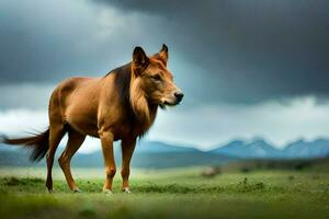 un caballo en pie en el medio de un campo. generado por ai foto