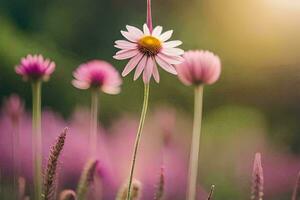 pink flowers in a field with a sun in the background. AI-Generated photo