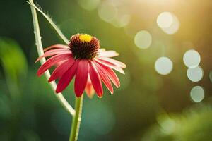 a single red flower with a sun shining in the background. AI-Generated photo