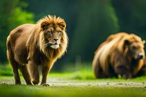 dos leones caminando en el césped. generado por ai foto