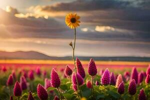 a sunflower stands alone in a field of purple flowers. AI-Generated photo