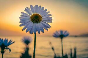 a daisy flower is seen in front of the ocean at sunset. AI-Generated photo