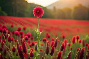 a red flower stands out in a field of red flowers. AI-Generated photo