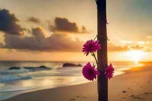 flowers on the beach, sunset, flowers, beach, hd wallpaper. AI-Generated photo